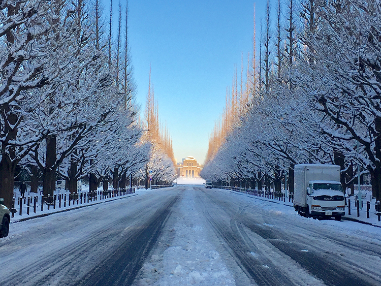 都会の積雪イメージ