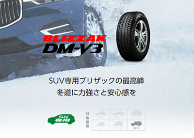 BRIDGESTONE BLIZZAK DM-V3